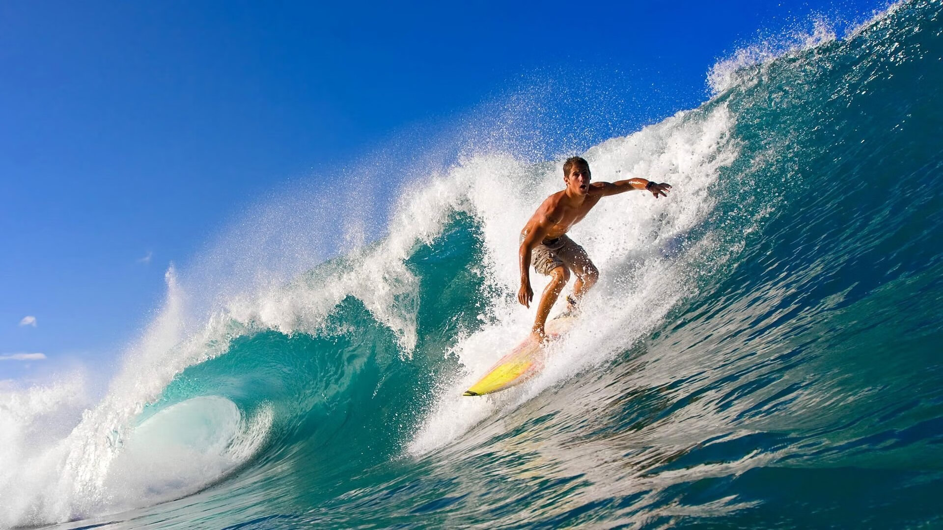 _东京国际公开赛：亚洲新星崭露头角_，东京赛事安排表