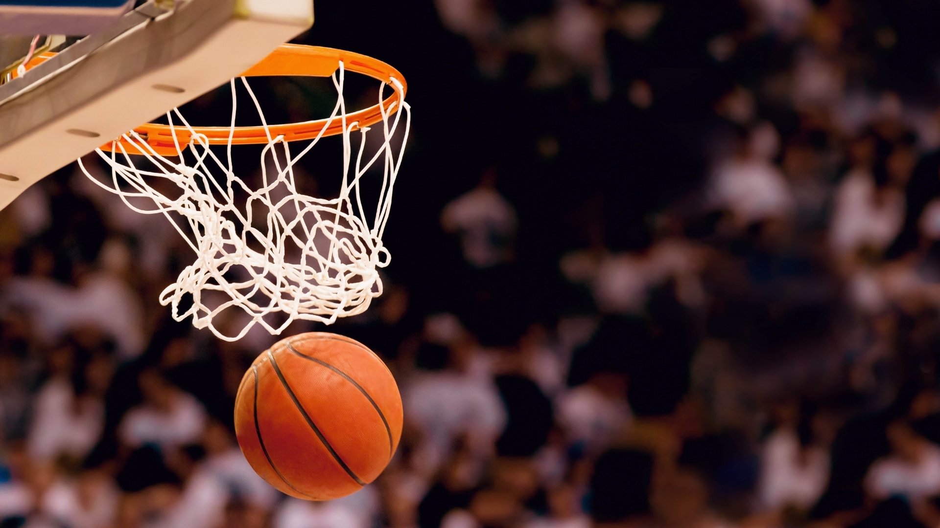 AYX体育-沙尔克队指望主场优势，力争击败对手，沙尔克近况